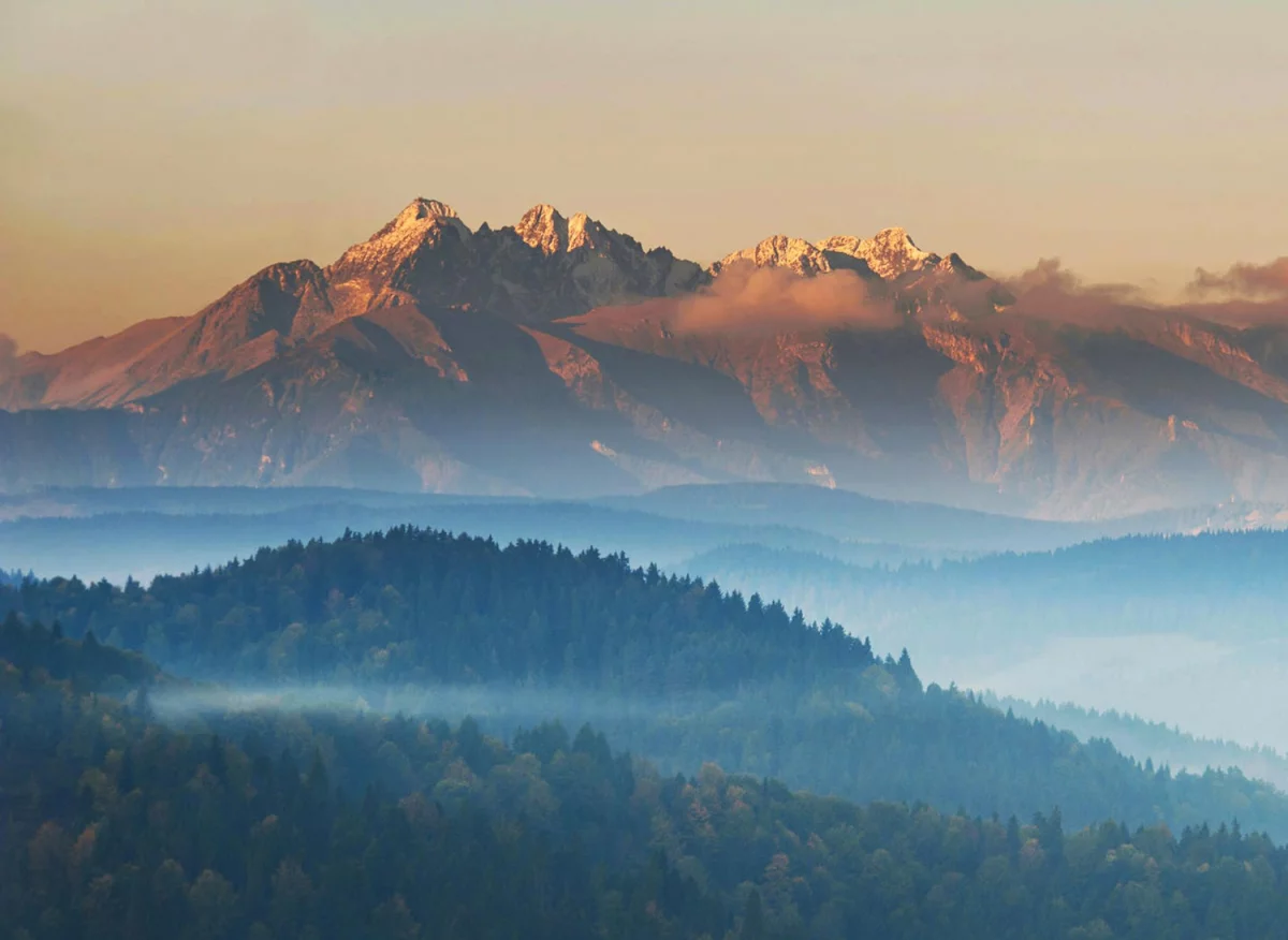 2024 dobrym czasem aby  wyposażyć dom