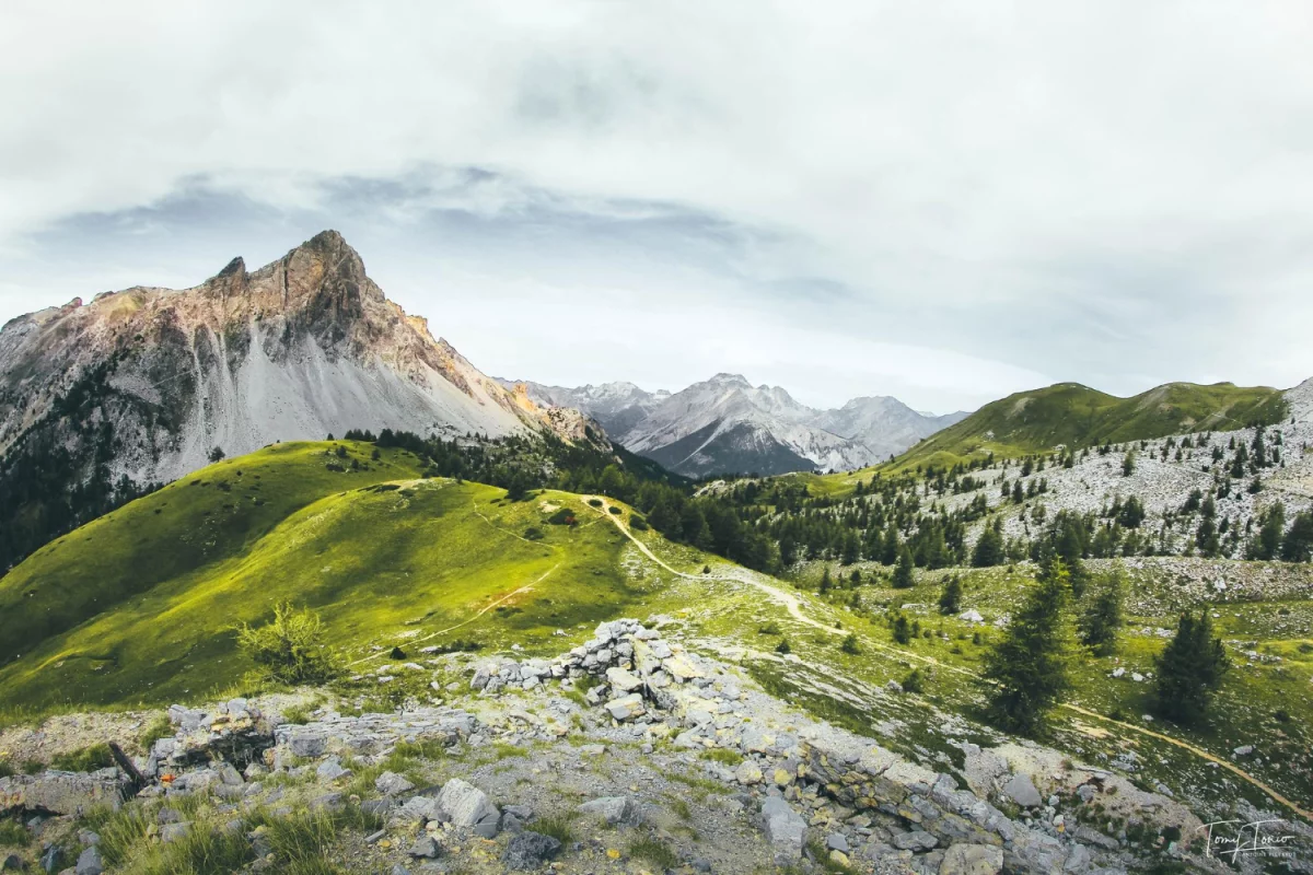 Dlaczego w 2023 warto  wynająć krzesła w Warszawie?