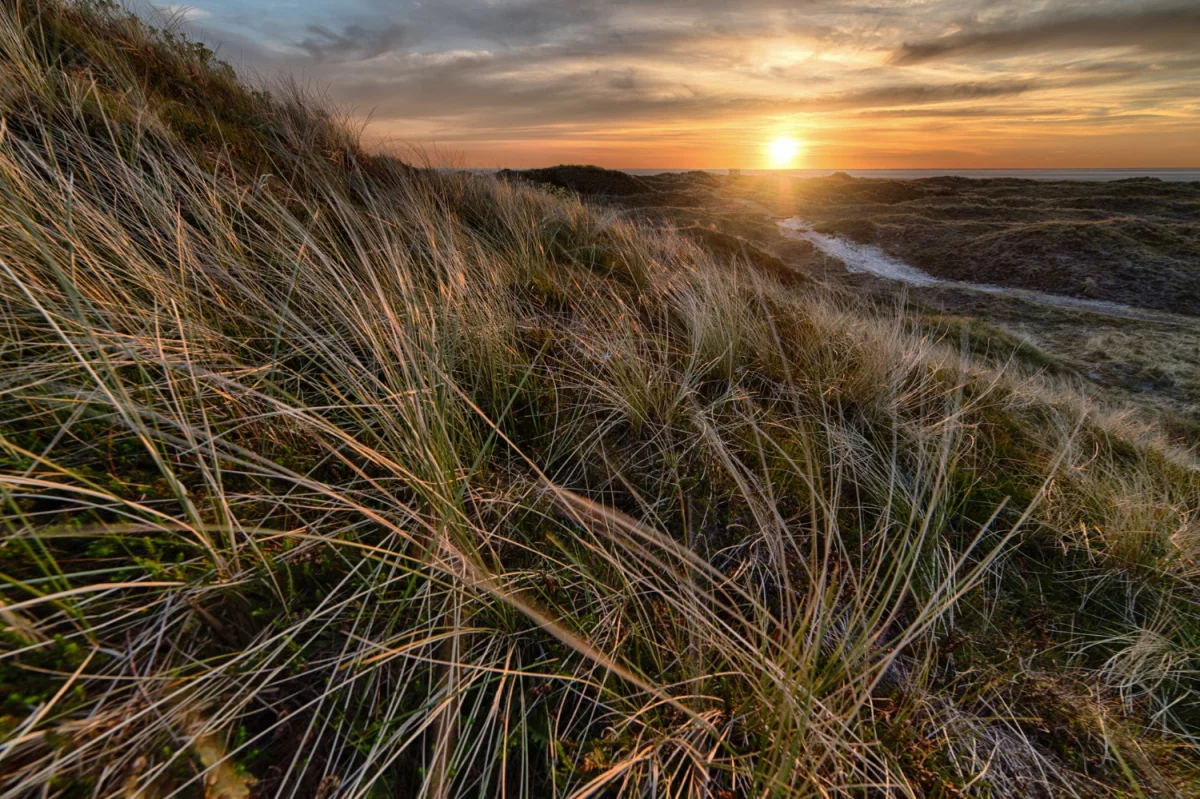 Klimatyzacja Pruszków: ranking najlepszych firm, ceny montażu, serwis i opinie mieszkańców