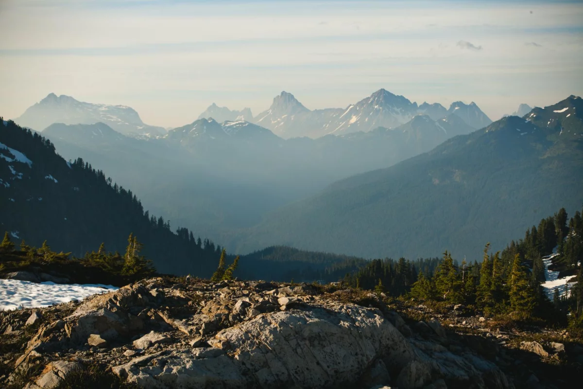 PILNE! Zobacz TYLKO Jeśli Chcesz raportować do cbam
